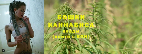PSILOCYBIN Алексеевка