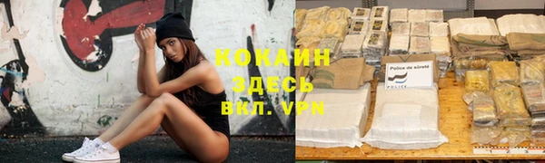 крисы Алзамай