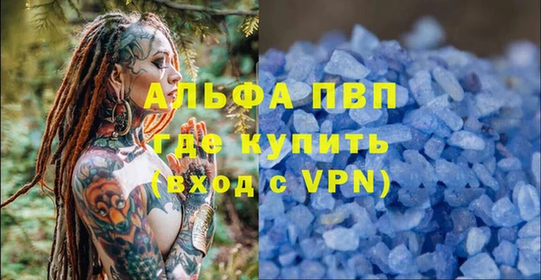 СК Алексин