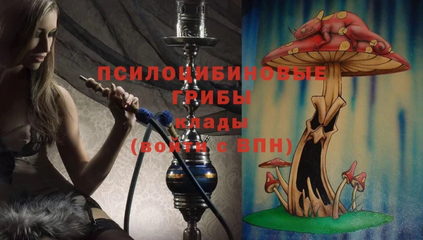 крисы Алзамай
