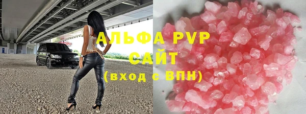 СК Алексин