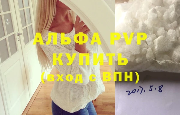 крисы Алзамай