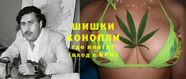 PSILOCYBIN Алексеевка