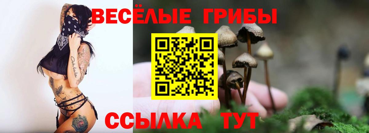 Галлюциногенные грибы мухоморы  Вход с VPN  Псилоцибиновые грибы Psilocybine cubensis  Феодосия 